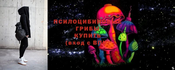 ешки Арсеньев