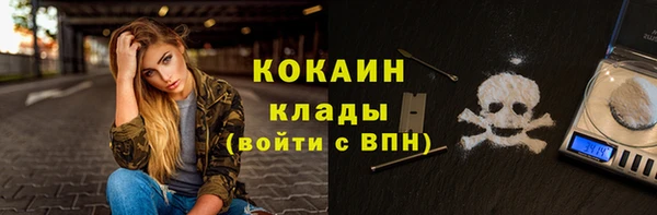 ешки Арсеньев