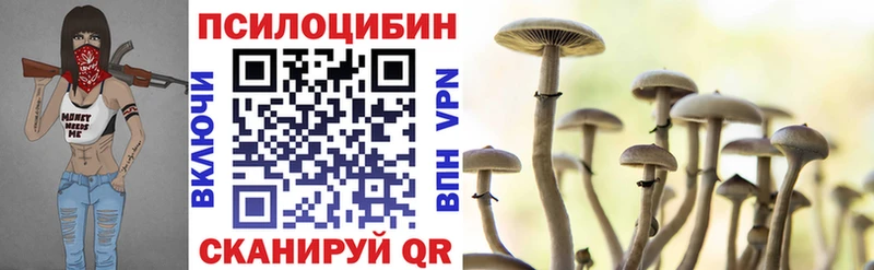 Галлюциногенные грибы Psilocybe  MEGA ТОР  Верхняя Салда 