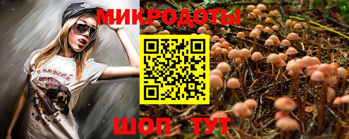 Псилоцибиновые грибы GOLDEN TEACHER  Вход с VPN  Верхняя Салда  даркнет сайт  Галлюциногенные грибы Psilocybe 