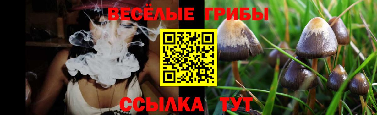 Псилоцибиновые грибы GOLDEN TEACHER Верхняя Салда